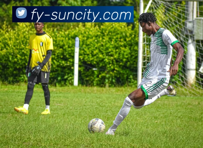 太阳城网站APP 体育赛事宣传图